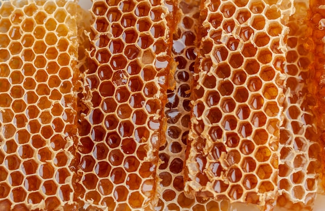 Honig: Ein Süßstoff fürs Leben